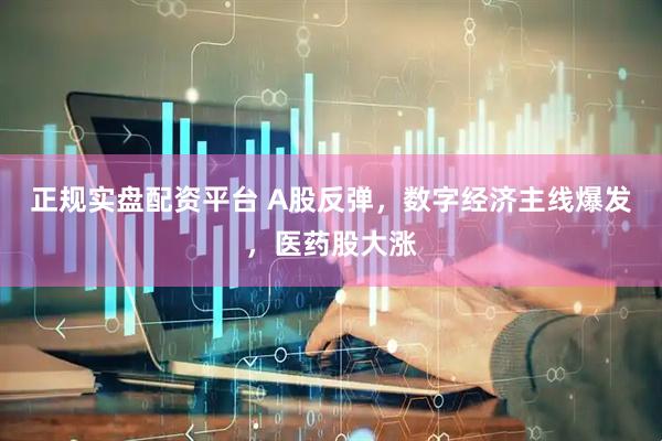 正规实盘配资平台 A股反弹，数字经济主线爆发，医药股大涨
